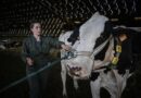 Las víctimas del ‘cártel de la leche’ quieren reclamar 2.000 millones de euros Las víctimas del ‘cártel de la leche’ quieren reclamar 2.000 millones de euros