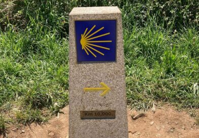 Del fuego de San Antón a los falsos sanadores: la medicina del Camino medieval Del fuego de San Antón a los falsos sanadores: la medicina del Camino medieval