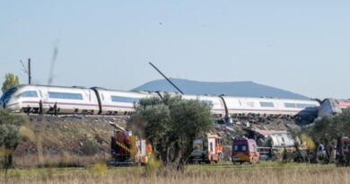 Un guardia civil cuenta el rescate de Almudena, la sevillana que viajaba en el Iryo de Urda: “Fue la única que salió con vida”