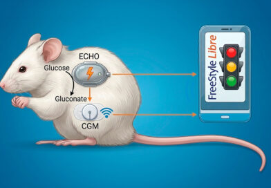 Un implante inalámbrico reduce la glucosa y el peso en ratones con diabetes y obesidad Un implante inalámbrico reduce la glucosa y el peso en ratones con diabetes y obesidad